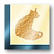 cat03